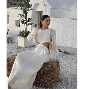 ZARA Chiffon Cut-Out Dress